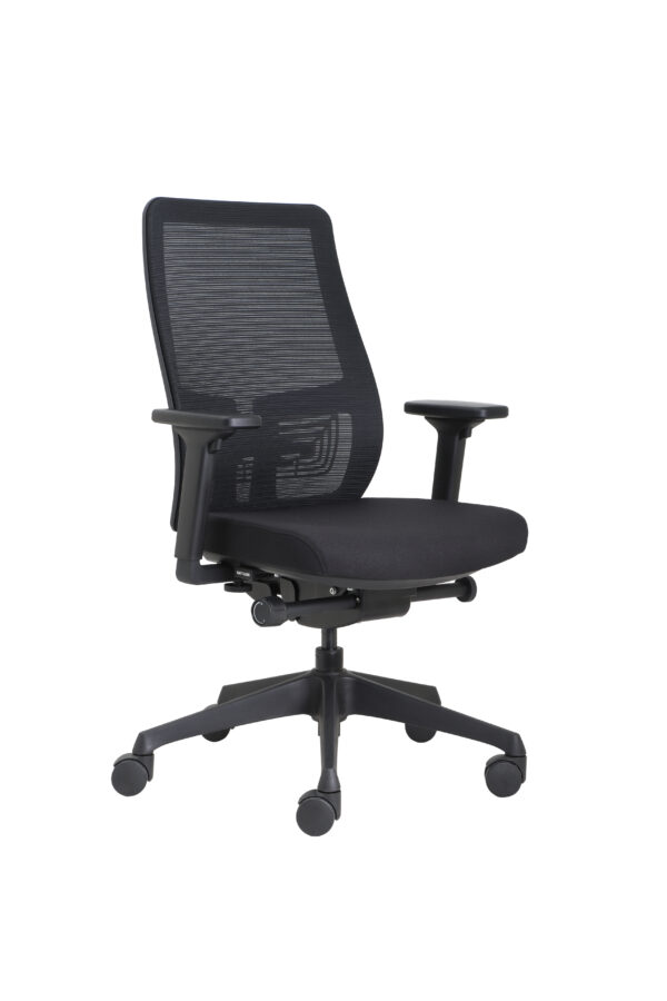 ErgoEase MB
